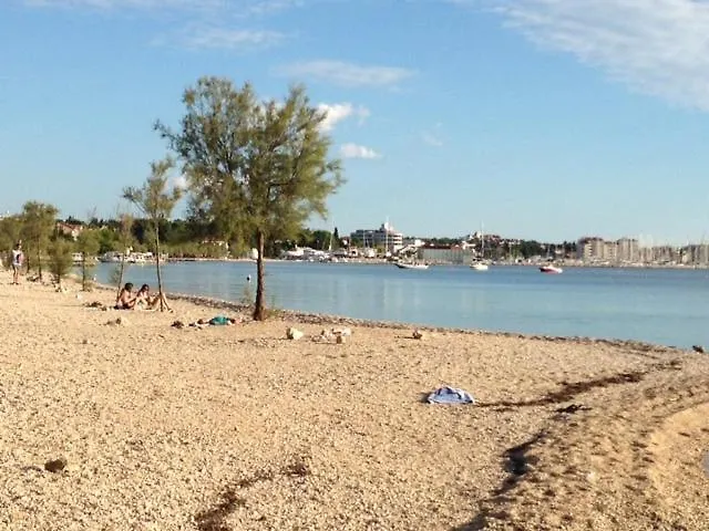 Sanja-biograd