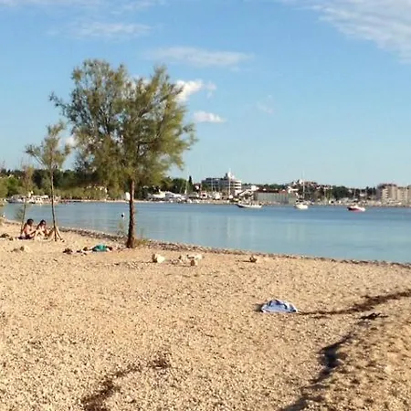 Sanja-biograd